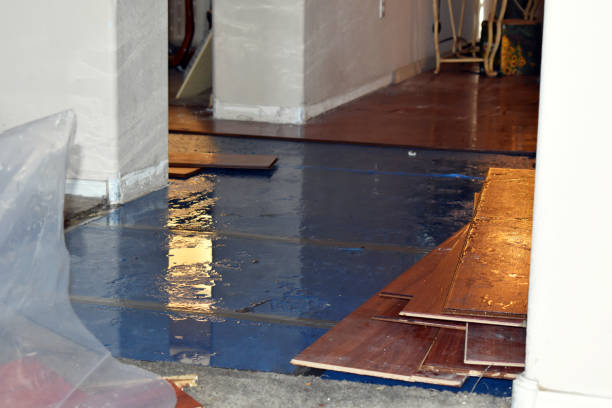 Professional Burst Pipe Cleanup technician working in Raritan, NJ